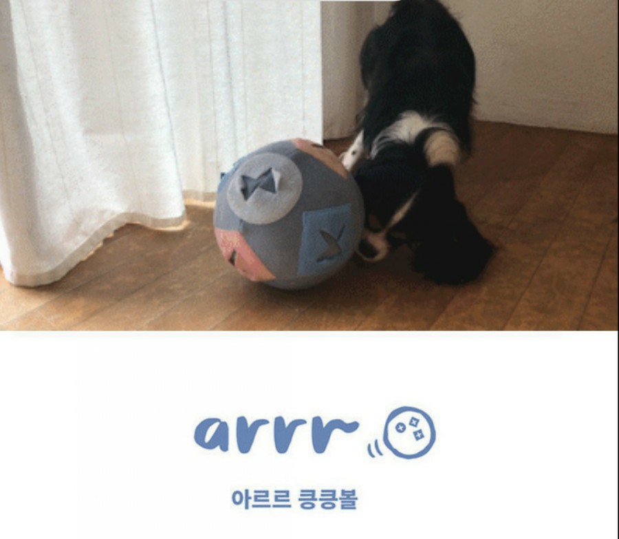 아르르(Arr) 이미지