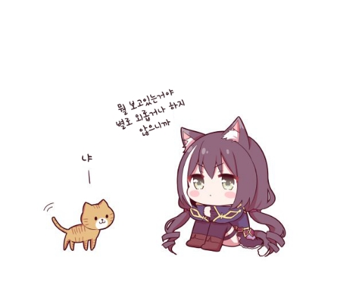 캬루 이미지