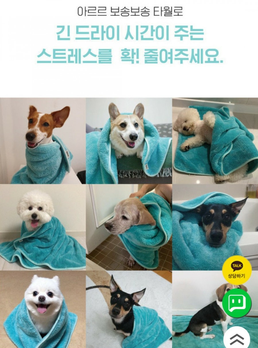 아르르(Arr) 이미지