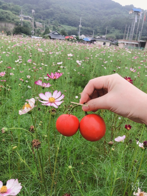 호암물산 주식회사 이미지