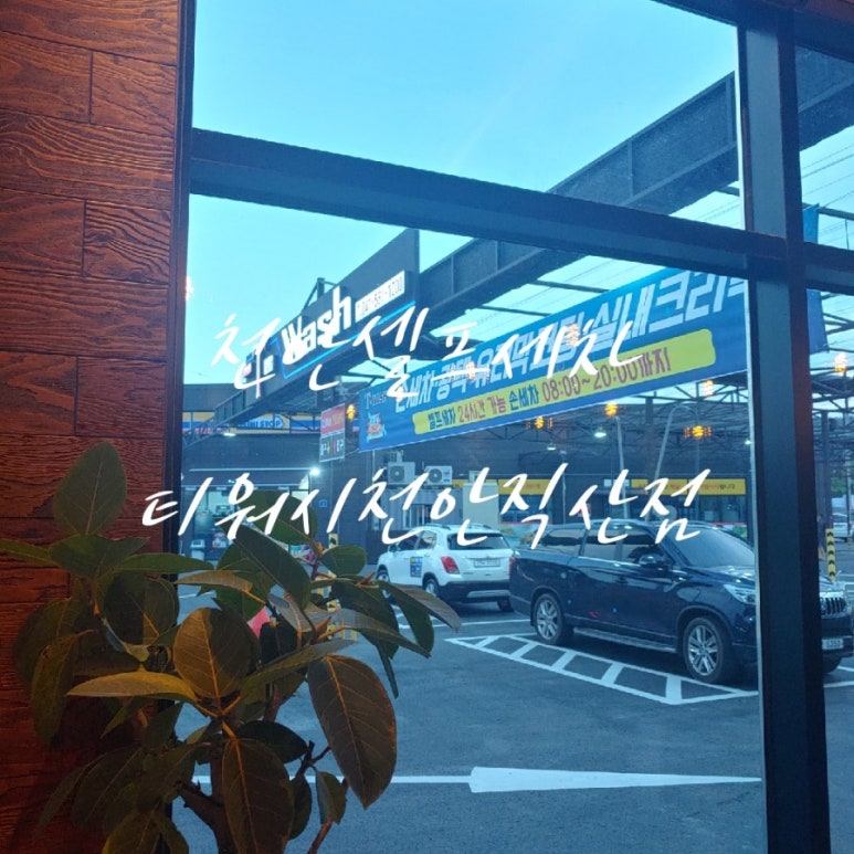 티워시손세차 이미지
