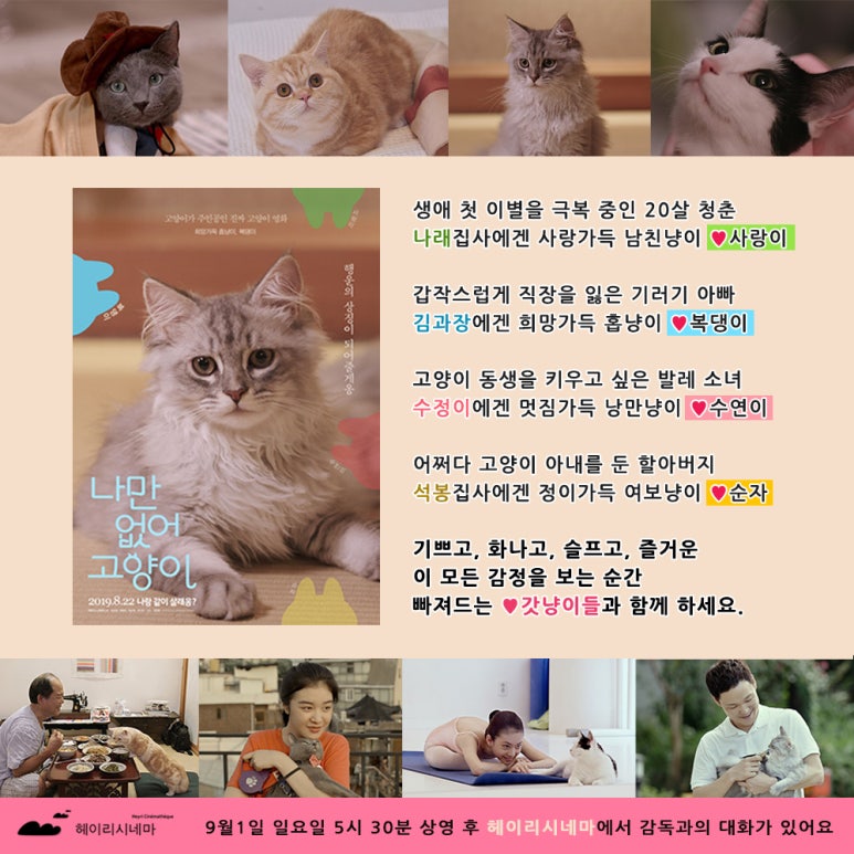 헤이리 시네마 이미지