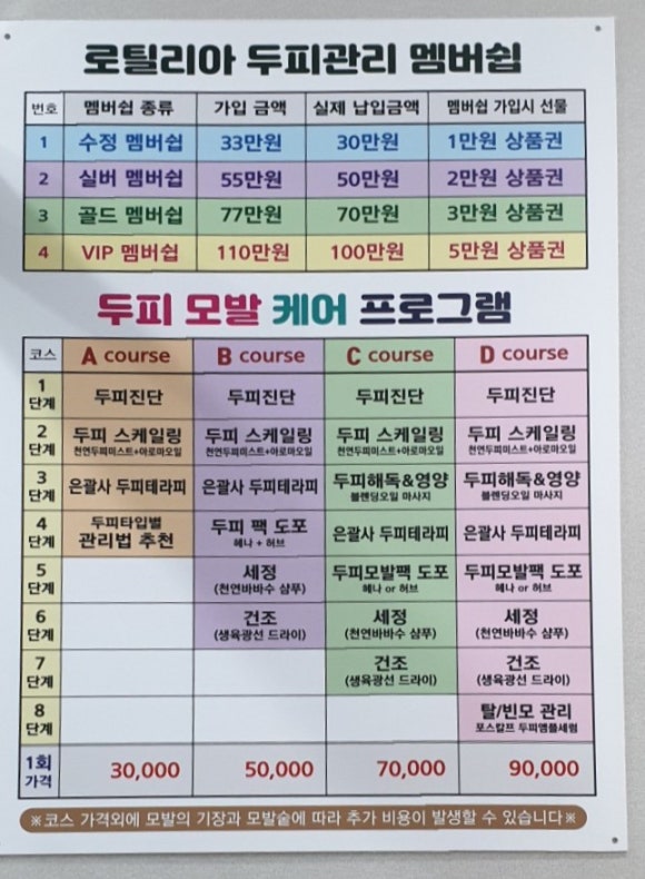 로틸리아 이미지
