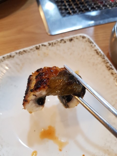 의정부민물고기 이미지