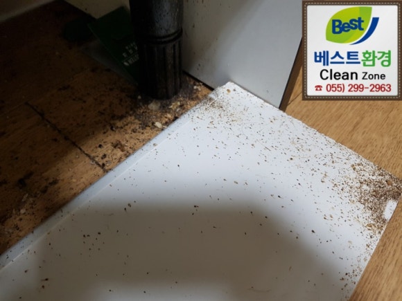 베스트방역 이미지