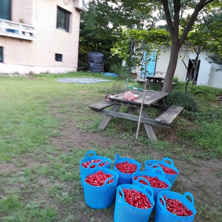 금잔디농원 이미지