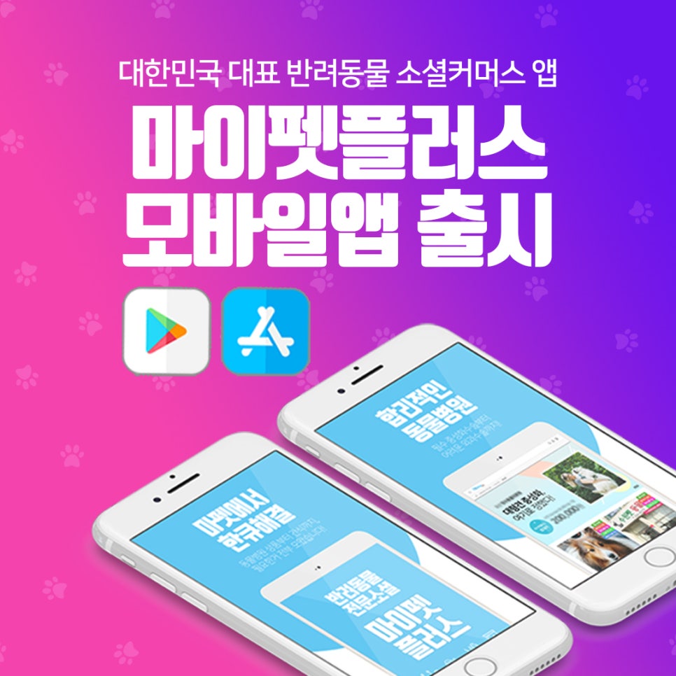 수플러스팬션 이미지