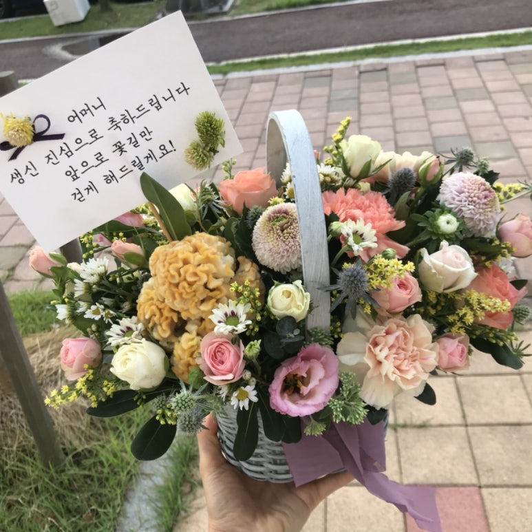투웰브바스켓 이미지