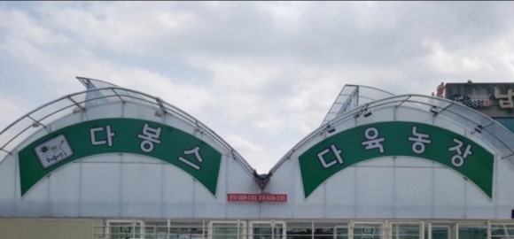 다봉스다육 이미지