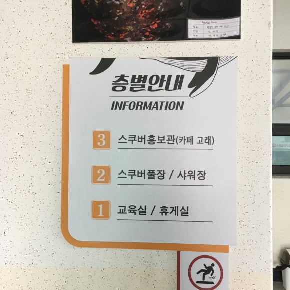 스쿠버해양캠프 이미지