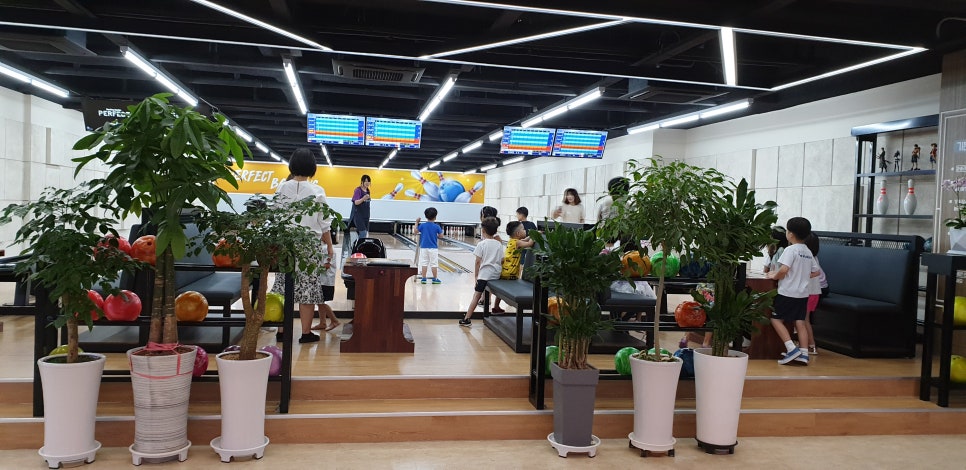 퍼펙트볼링센타 이미지