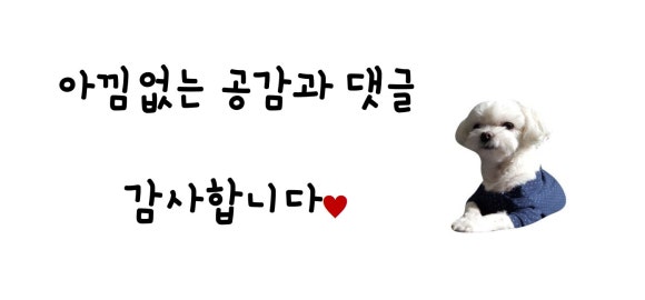 가장맛있는족발양주맛집옥정 이미지