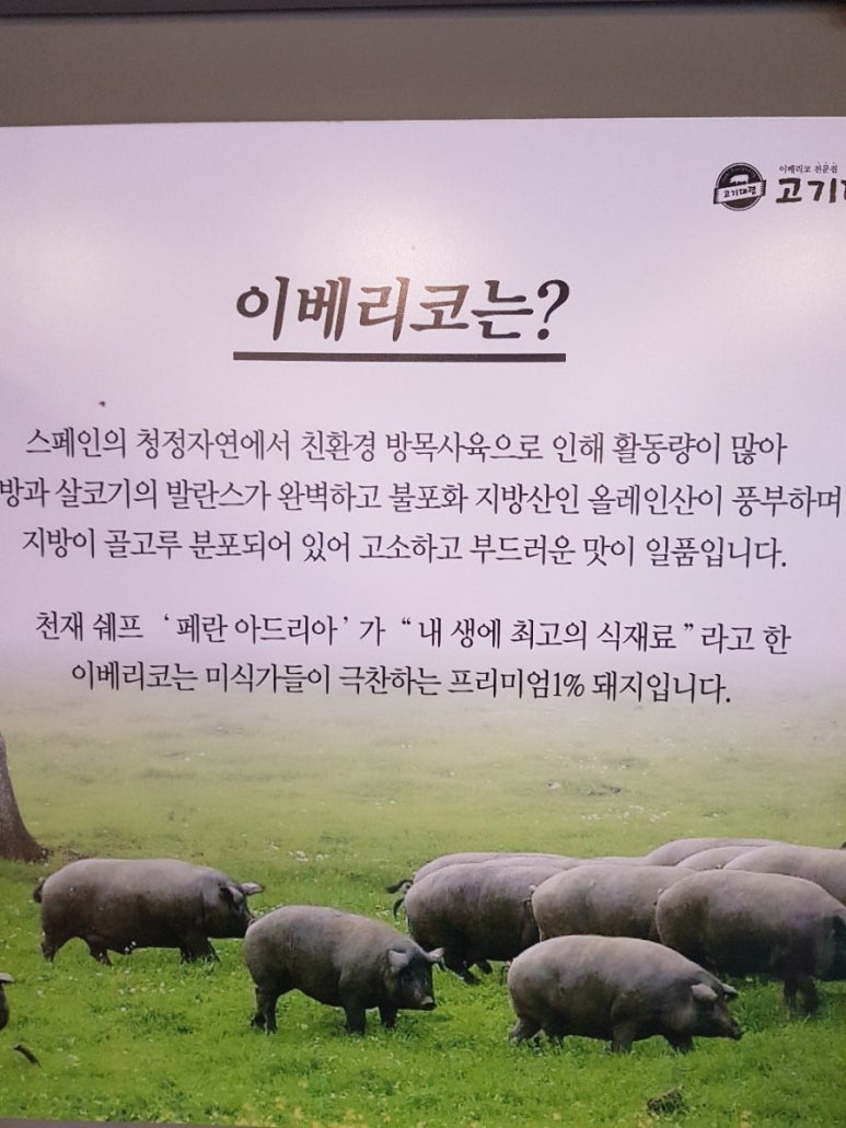 고기대령이오 이미지