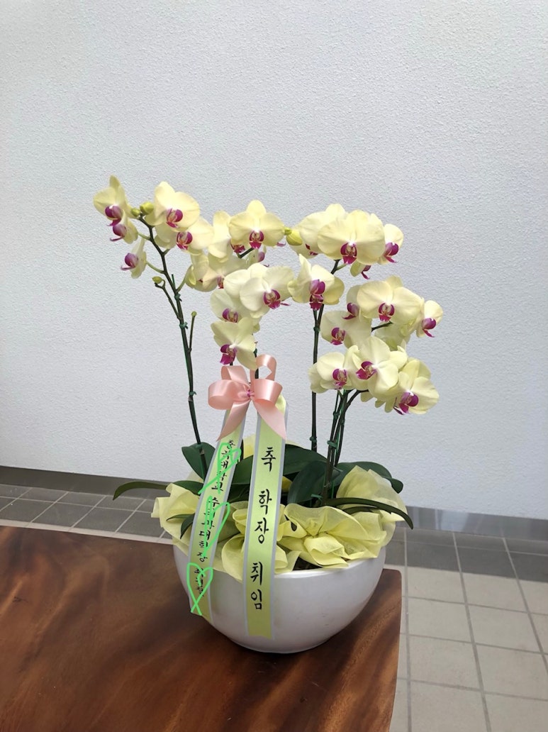 세련꽃농원 이미지