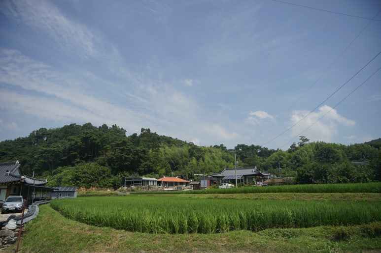 순천꽃마차마을 이미지