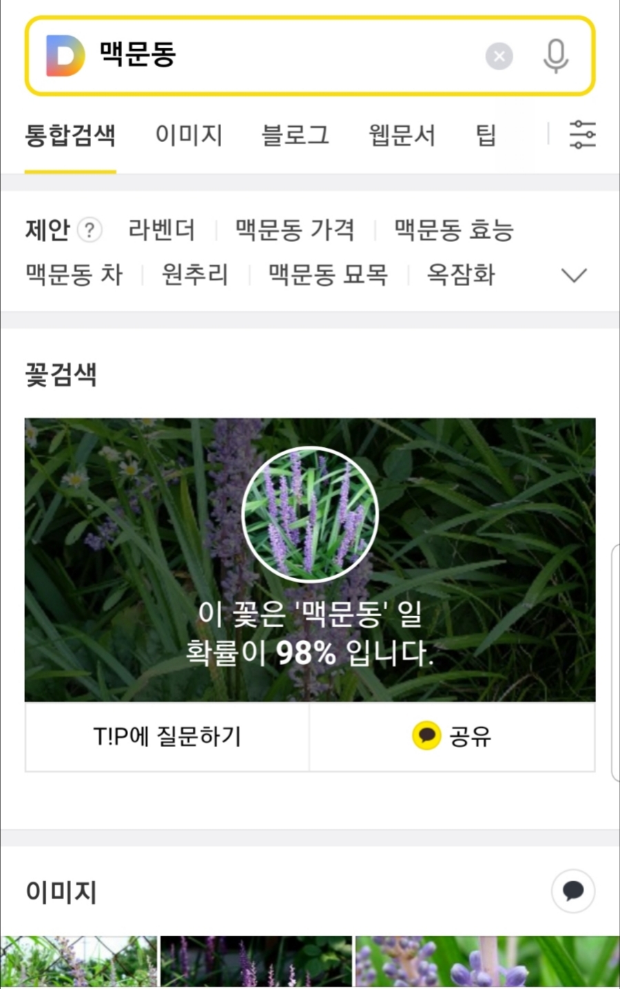 선경갤러리 이미지