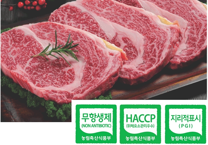 늘푸름개발 이미지
