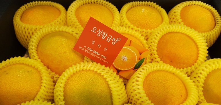 오성꽃농장 이미지