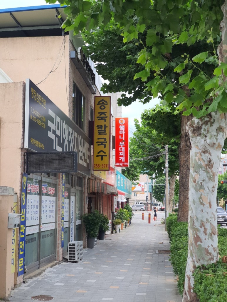 송죽칼국수 이미지