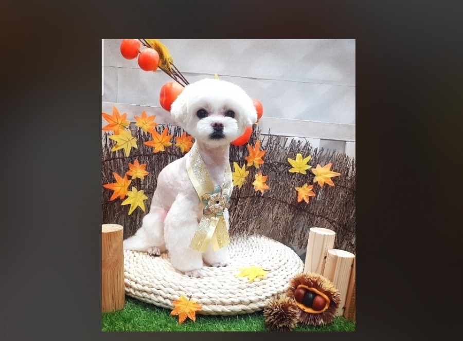 현포토 이미지