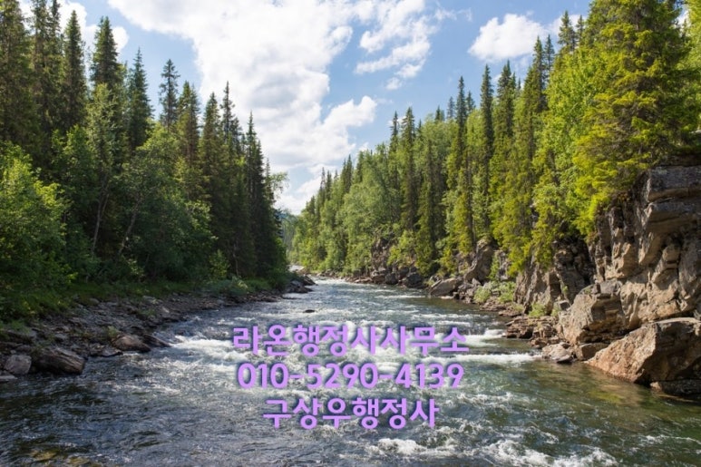 라온행정사사무소 이미지