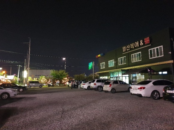 월산복어 이미지