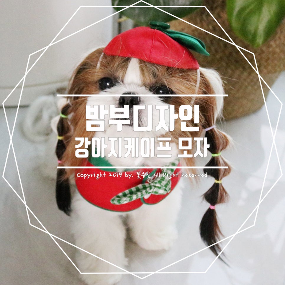 스튜디오밤부 이미지