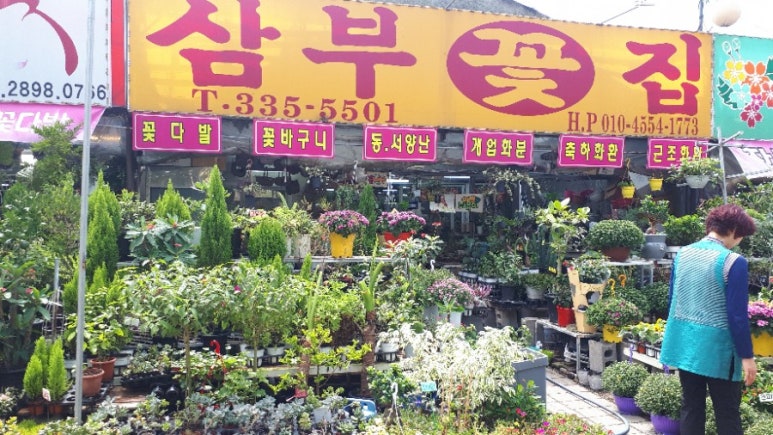 삼부꽃집 이미지