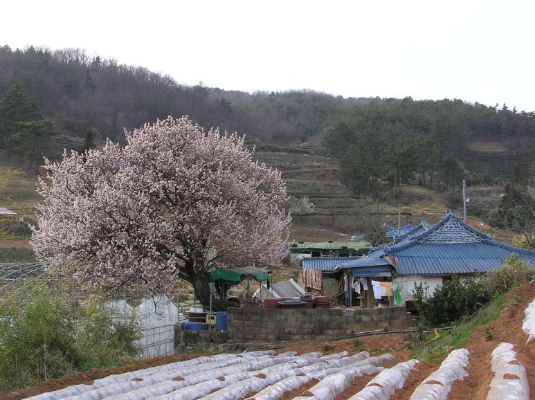 오다;가다 이미지