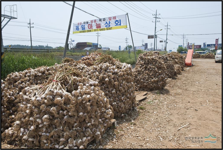 서산태안6쪽마늘조합 공동사업법인 이미지