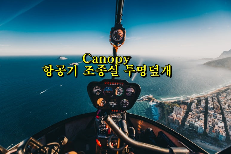 캐노피(canopy) 이미지