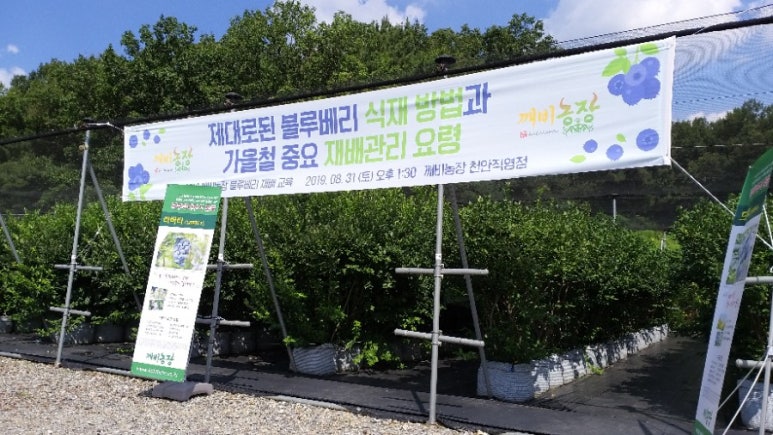 법인깨비농장 이미지