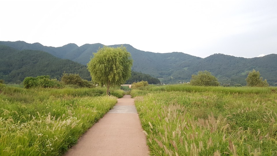 원효한우촌 이미지