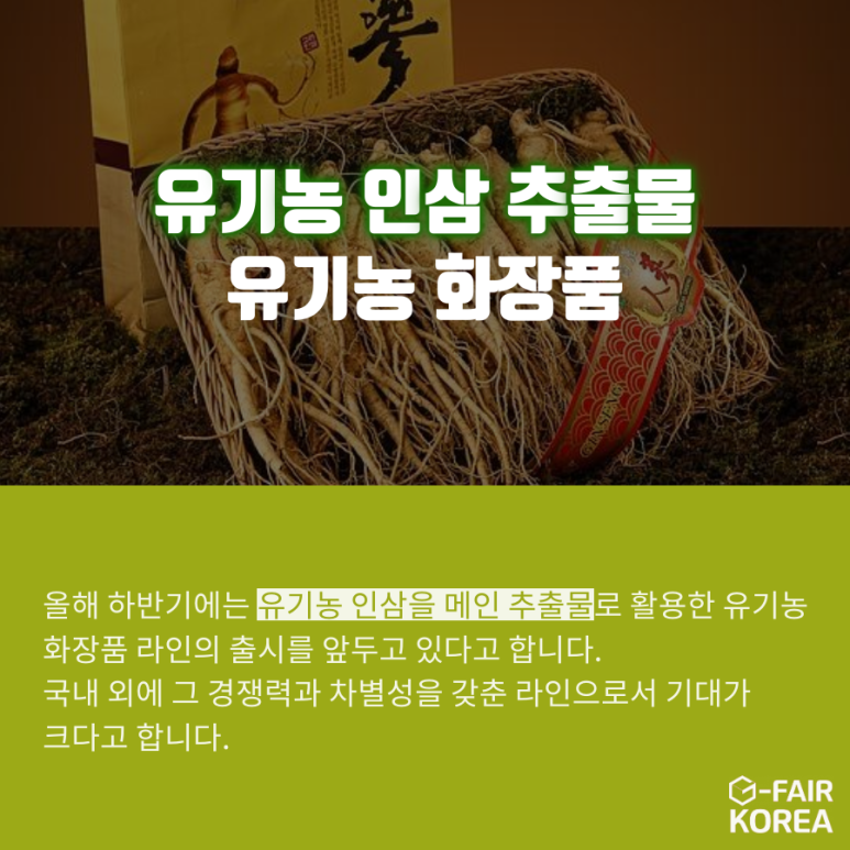 씨에이치 이미지