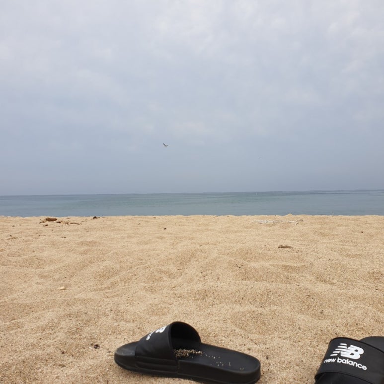 하저리커피 이미지