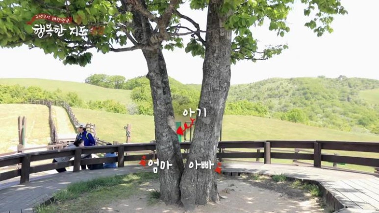 평창자연속쉼표 이미지