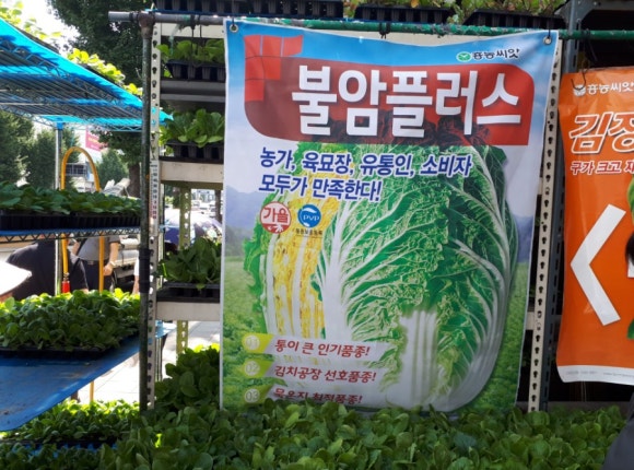 홍농상회 이미지