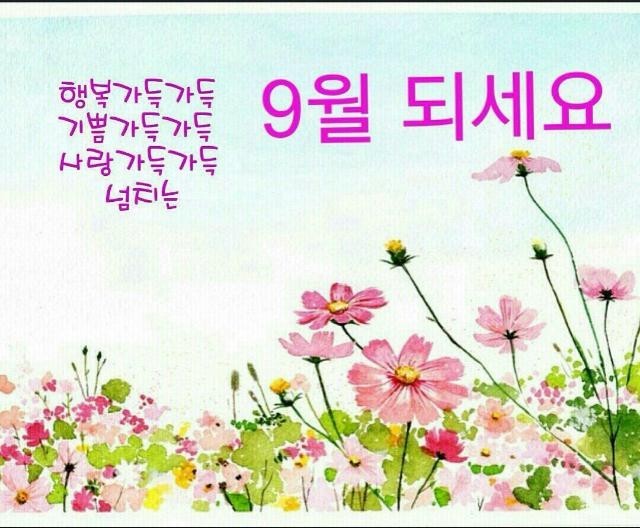 담장아래 볕 이미지
