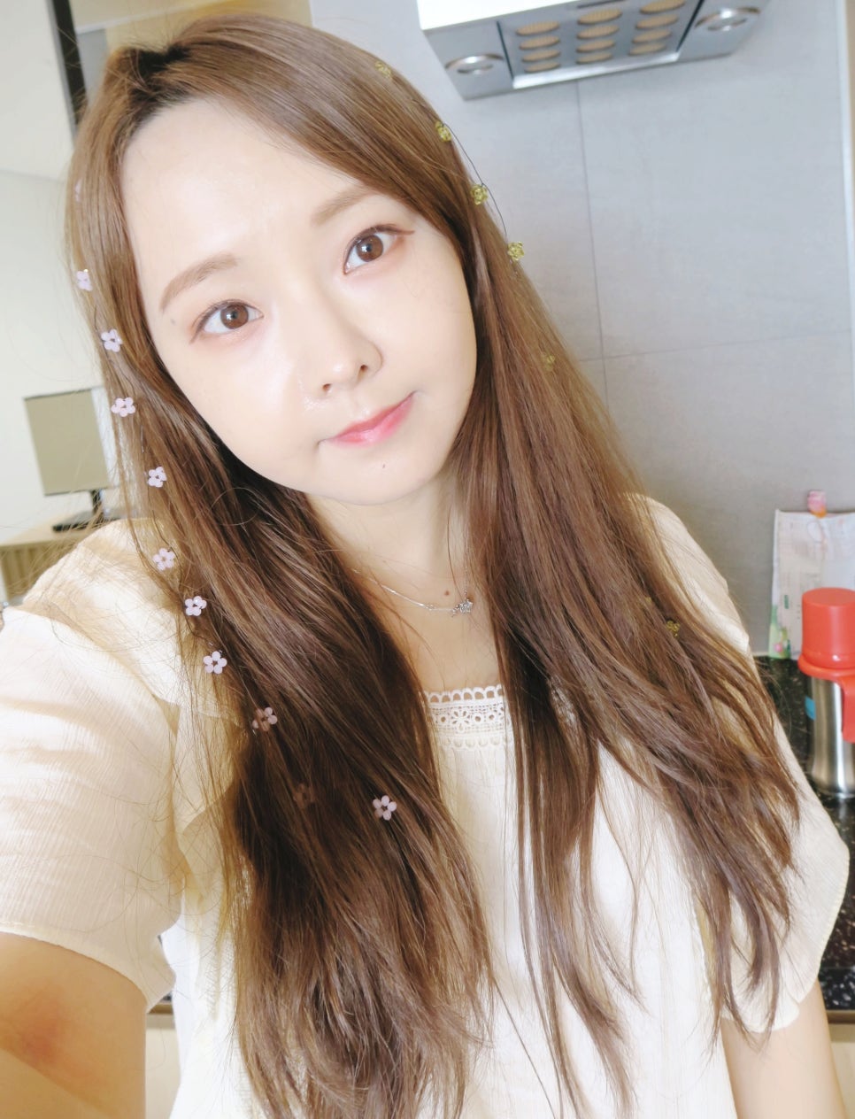 플로피스 이미지