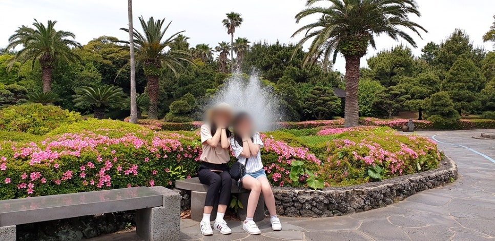 똑순이투어 이미지
