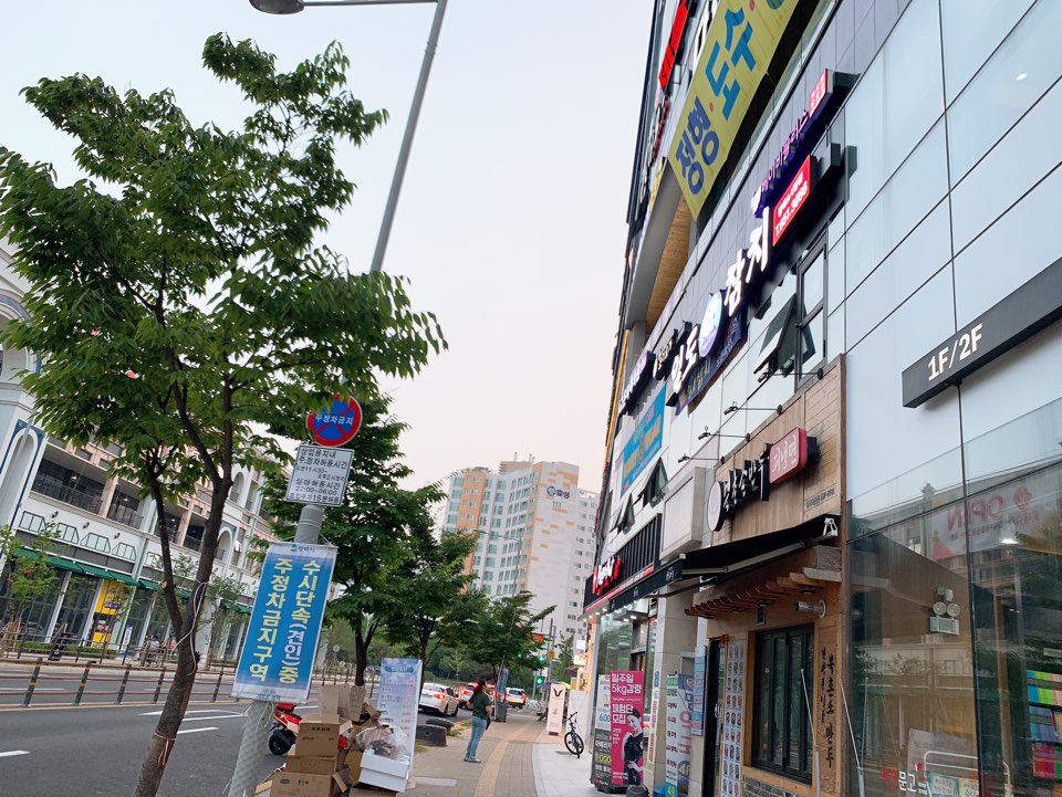일도참치 이미지