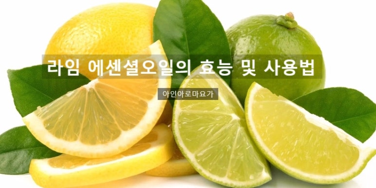 라임 이미지