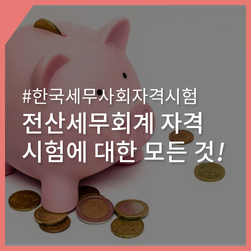 진흥세무회계 이미지