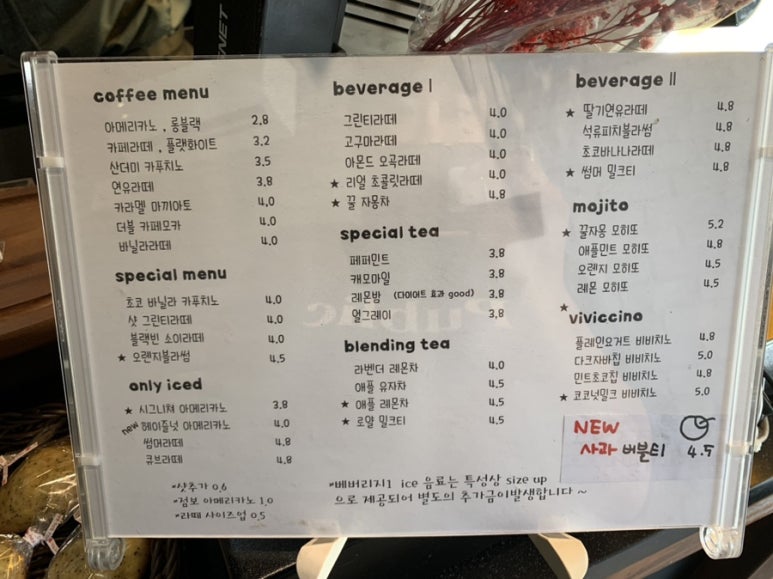 비비드빈(vividbean) 이미지