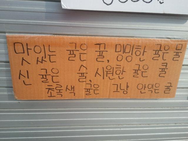 이요 이미지