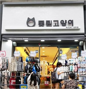 엔캣 이미지