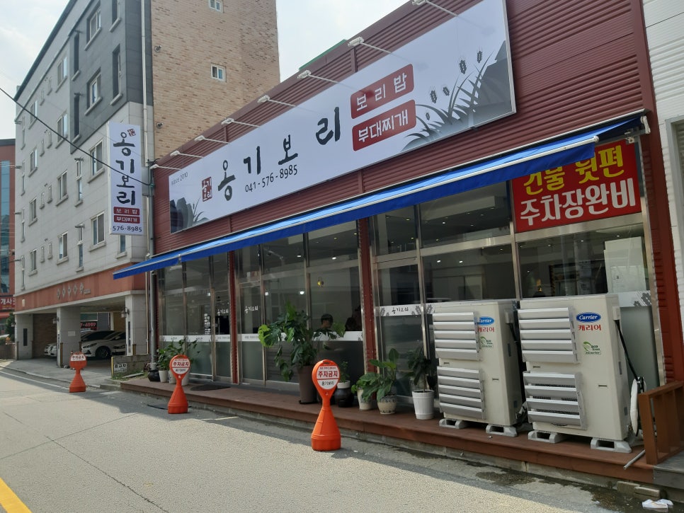 옹기보리 이미지