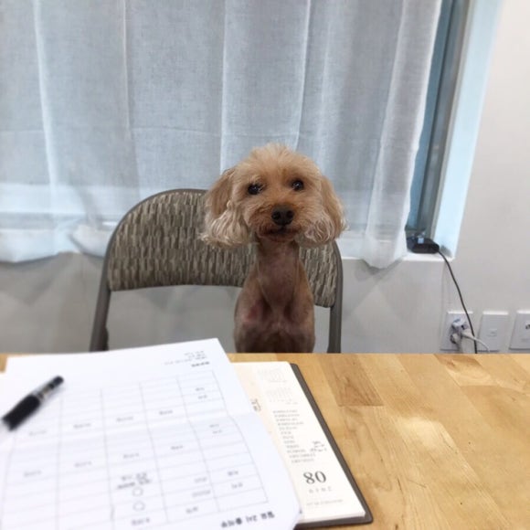 아이라최작업실 이미지