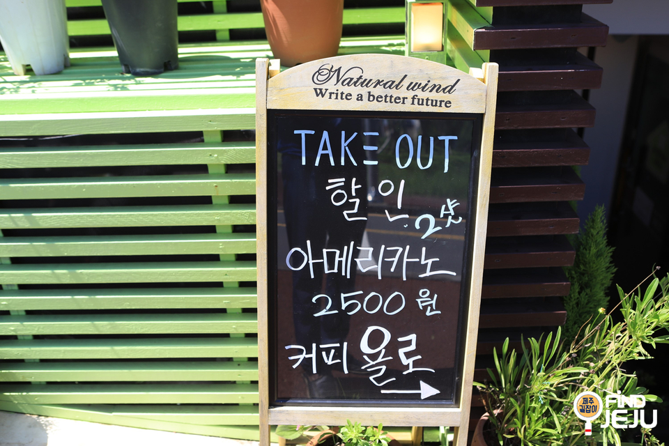 욜로아라 이미지