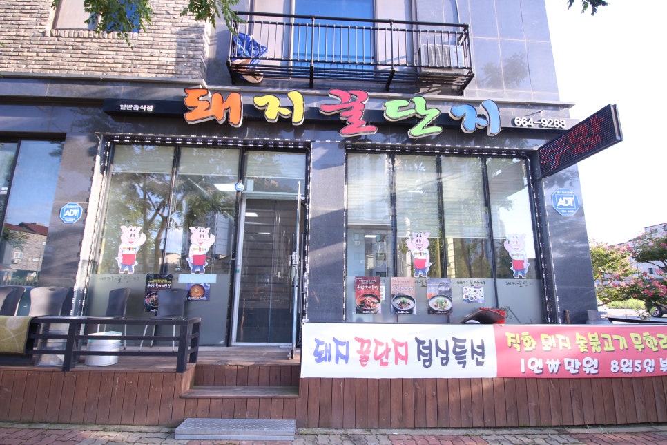 돼지꿀단지 이미지